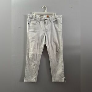 Pilcro and the Letterpress Men's Light Gray Skinny Jeans